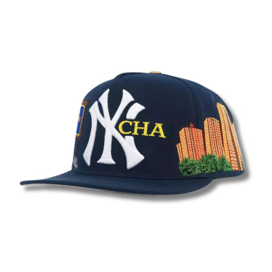 NYCHA 2.0