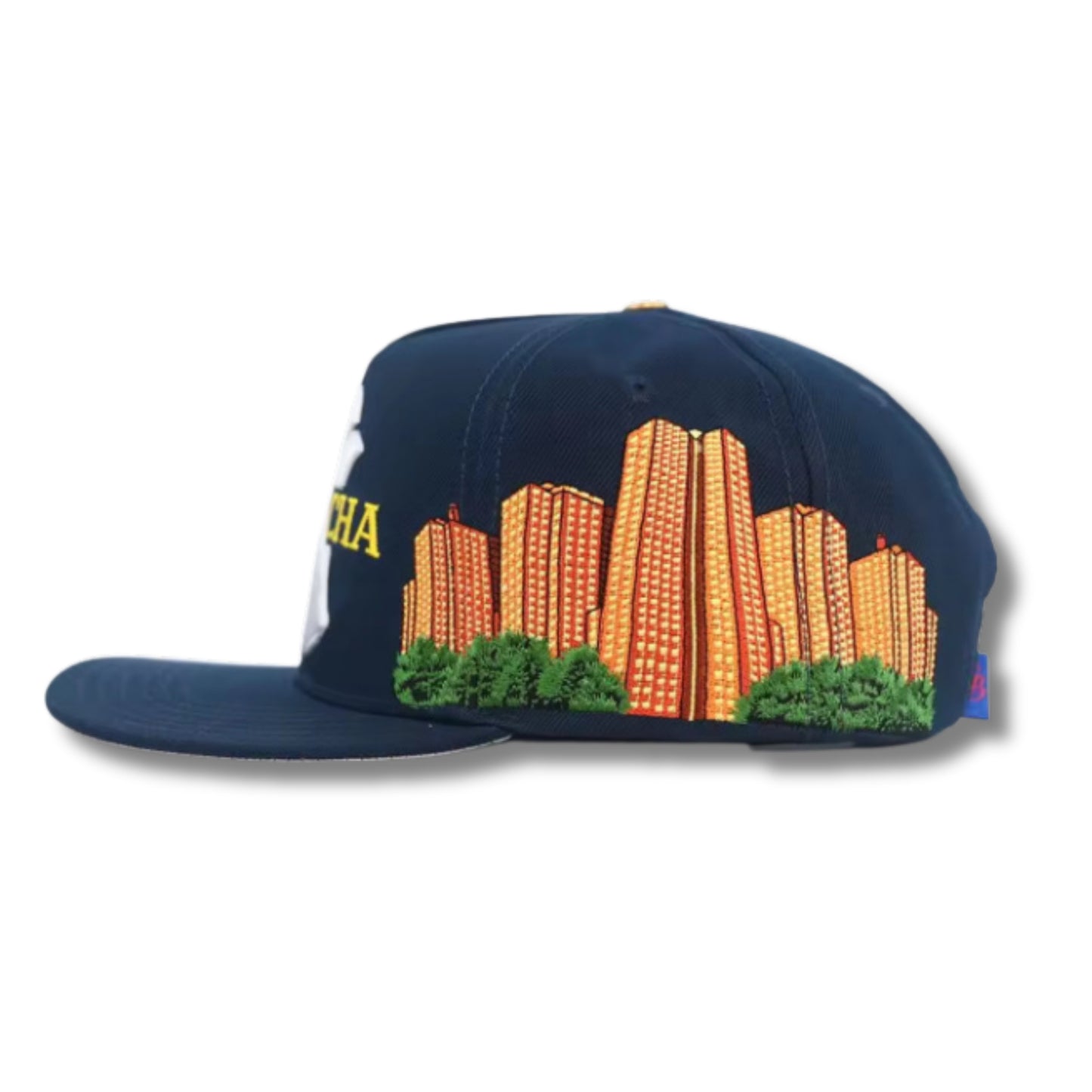 NYCHA 2.0